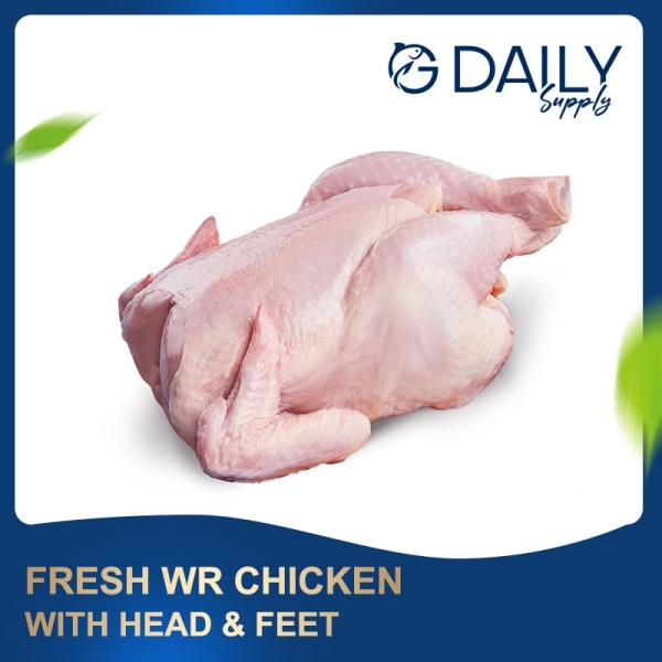 Fresh WR Chicken - with head & feet  Poultry / Chicken / Beef / Lamb Selangor, Malaysia, Kuala Lumpur (KL), Batu Caves Supplier, Suppliers, Supply, Supplies | G DAILY SUPPLY SDN BHD