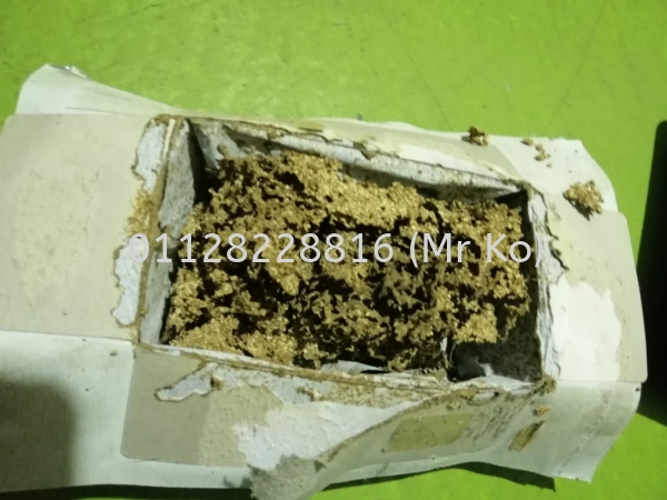  Bait Box Johor Bahru, Johor, Malaysia Pest & Termites Control, Termites Killer, Pest Terminate | BIO TERMITES SDN BHD (KO SAMUAL)