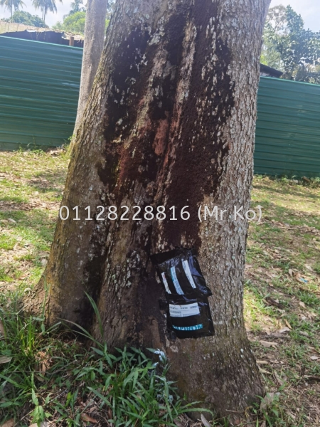  Bait Box Johor Bahru, Johor, Malaysia Pest & Termites Control, Termites Killer, Pest Terminate | BIO TERMITES SDN BHD (KO SAMUAL)
