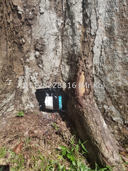  Bait Box Johor Bahru, Johor, Malaysia Pest & Termites Control, Termites Killer, Pest Terminate | BIO TERMITES SDN BHD (KO SAMUAL)