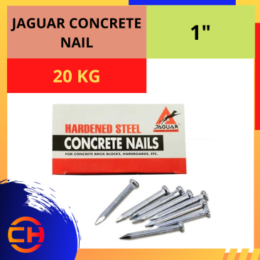 JAGUAR CONCRETE NAIL [1'']