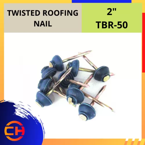 TWISTED ROOFING NAIL [2'']