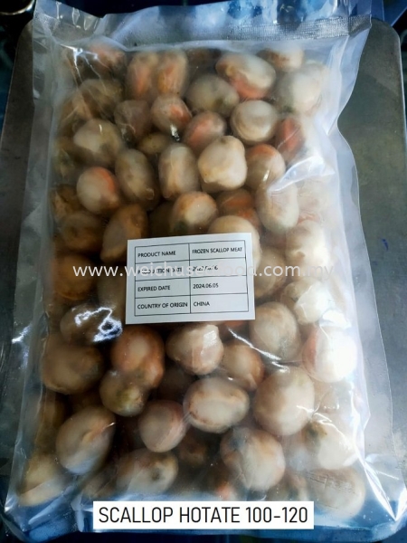 Scallop Hotate 100/120 Frozen Clam Selangor, Malaysia, Kuala Lumpur (KL), Klang Supplier, Suppliers, Supply, Supplies | Wei Chu Seafood Supply Trading Sdn Bhd