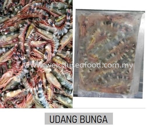 Udang Bunga Frozen Shrimp Selangor, Malaysia, Kuala Lumpur (KL), Klang Supplier, Suppliers, Supply, Supplies | Wei Chu Seafood Supply Trading Sdn Bhd