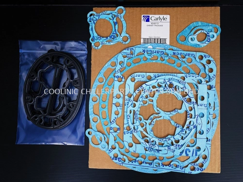 6D43172 Gasket Set