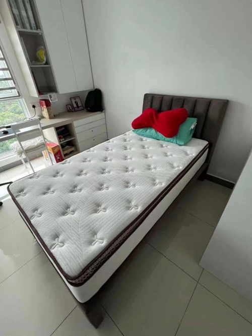 Queen size king size Quality single and super single pull out Bed 母子床定做定制