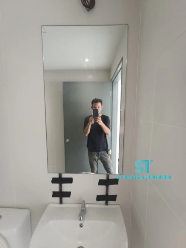 Toilet Mirror 