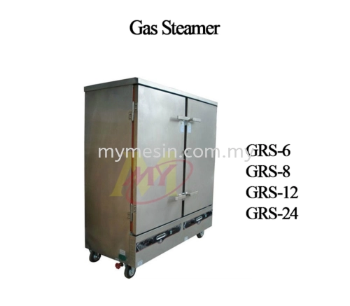 Gas Steamer