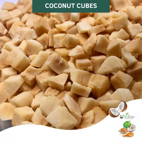 Coconut Cube Product Ingredient [ 1 Pallet x 42 Cartons x 15Kg ] 