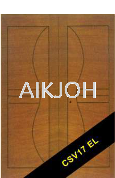 CSV 17 EL Double Leaf Security Door Johor Bahru (JB), Malaysia Wooden Door Experts, Solid Door, Timber Door | Aik Joh Enterprise Sdn Bhd