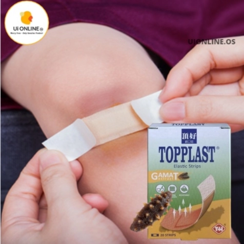 Topplast plaster Gamat - 20's