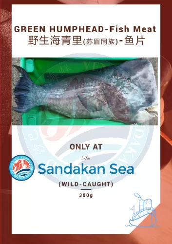 (WILD-SEA)- Green Humphead Fish- Fillet(No Bone)野生海青里- 鱼片（苏眉同族）