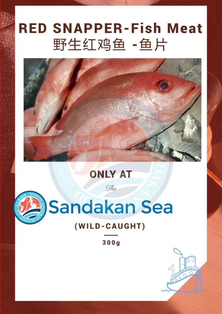 WILD-SEA)- Red Snapper- FISH FILLET(No Bone) Seafood (Wild-Sea) Fish Fillet  (SDK Cut) 马来西亚Supplier, Retailer, Wholesaler