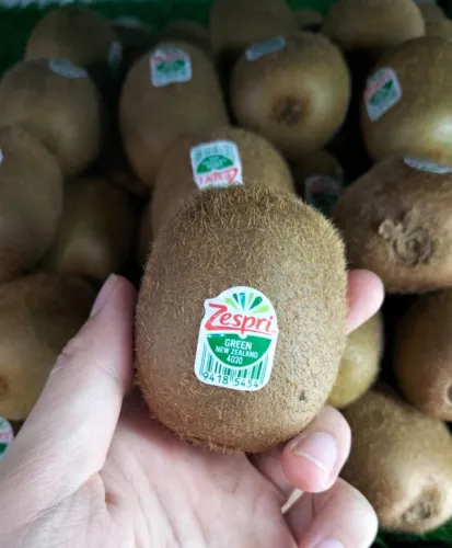 Zespri Kiwi Green 3pcs