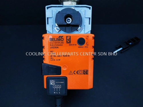 R225FL-J+LR230A Belimo Rotary Actuator With 2-Way Valve [Non-Spring Return]