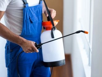 HOW TO REMOVE YOUR HOME PEST