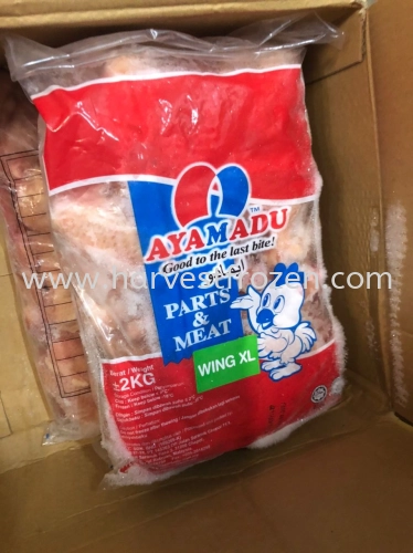 CHICKEN WING SIZE XL 18-20PCS 2KG X 1PKT