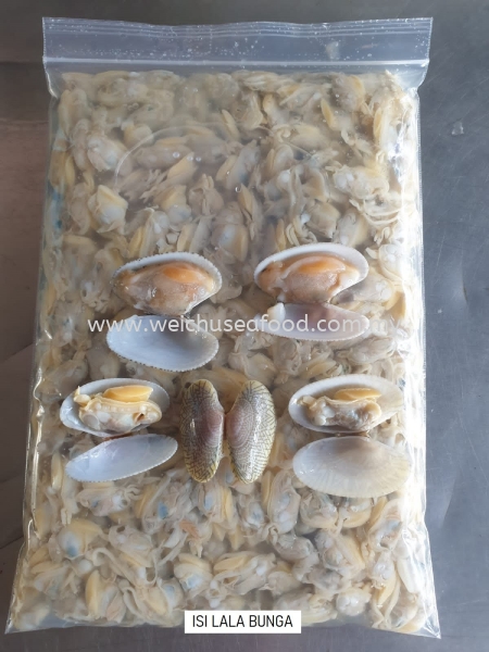 Isi Lala Bunga Fresh Meat (Seafood) Selangor, Malaysia, Kuala Lumpur (KL), Klang Supplier, Suppliers, Supply, Supplies | Wei Chu Seafood Supply Trading Sdn Bhd