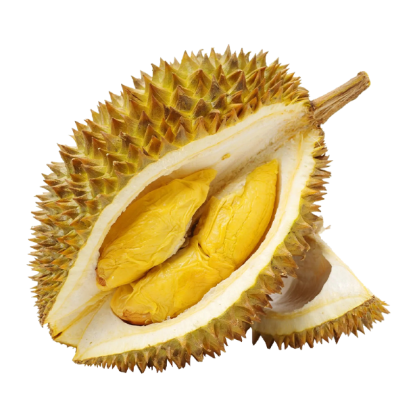 Red Prawn Ϻ Durian Singapore, Johor Bahru (JB), Malaysia Supplier, Wholesaler | OGENIC SUPPLY