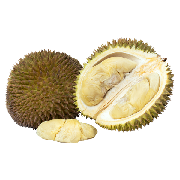 Golden Phoenix  Durian Singapore, Johor Bahru (JB), Malaysia Supplier, Wholesaler | OGENIC SUPPLY