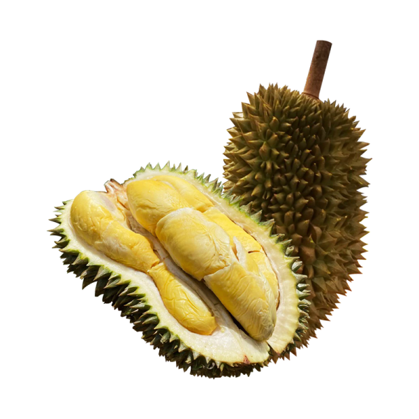 D163 « Durian Singapore, Johor Bahru (JB), Malaysia Supplier, Wholesaler | OGENIC SUPPLY