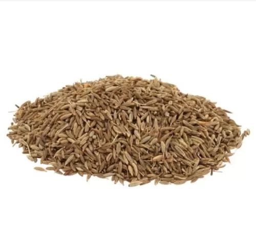 An Nuur Jintan Putih / White Fennel Seeds 15g