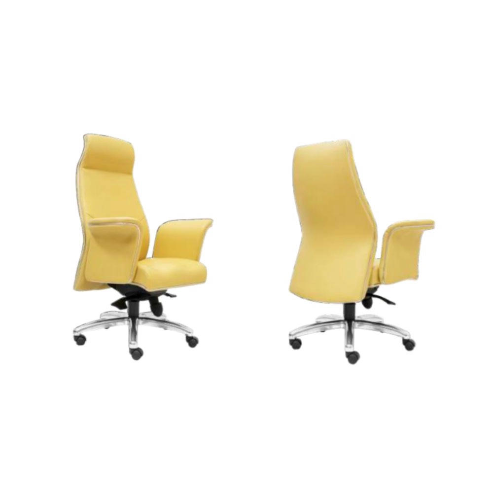 HURO Director Executive Office Chair | Office Chair Penang