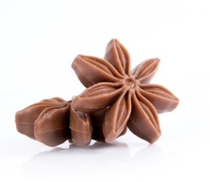 DOBLA, Chocolate Dcor - Star Anise ( Indent ) Nature Series Dobla Penang, Malaysia, George Town Supplier, Wholesaler, Supply, Supplies | Hong Yap Trading Company