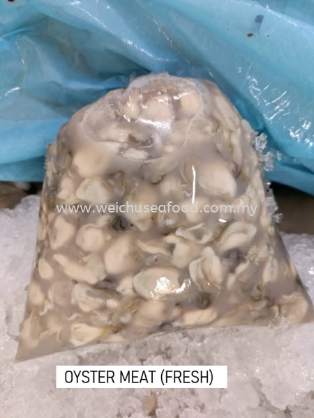 Oyster Meat (Fresh) Fresh Meat (Seafood) Selangor, Malaysia, Kuala Lumpur (KL), Klang Supplier, Suppliers, Supply, Supplies | Wei Chu Seafood Supply Trading Sdn Bhd