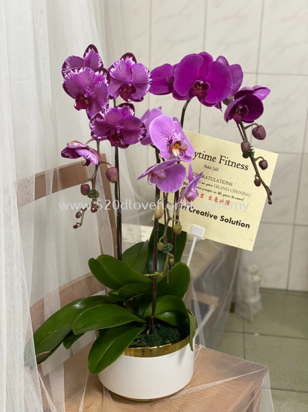  GRAND OPENING / CONGRATULATION Ļʽ / ף Kuala Lumpur (KL), Malaysia, Selangor, Cheras Supplier, Suppliers, Supply, Supplies | 520 D Love Florist