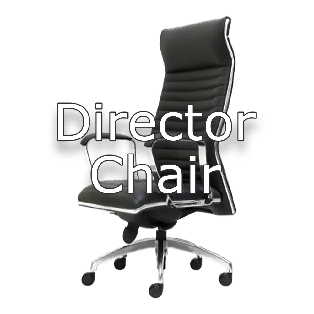 Director Chair