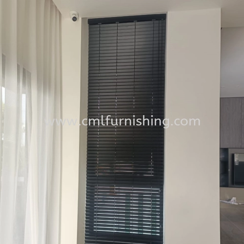 Venetian Blind