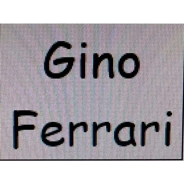 Gino Ferrari Pool Cue