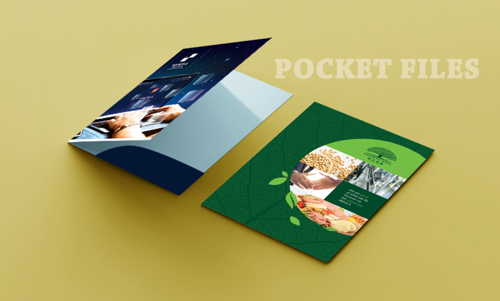 Art Card Folders/ Files with Pockets