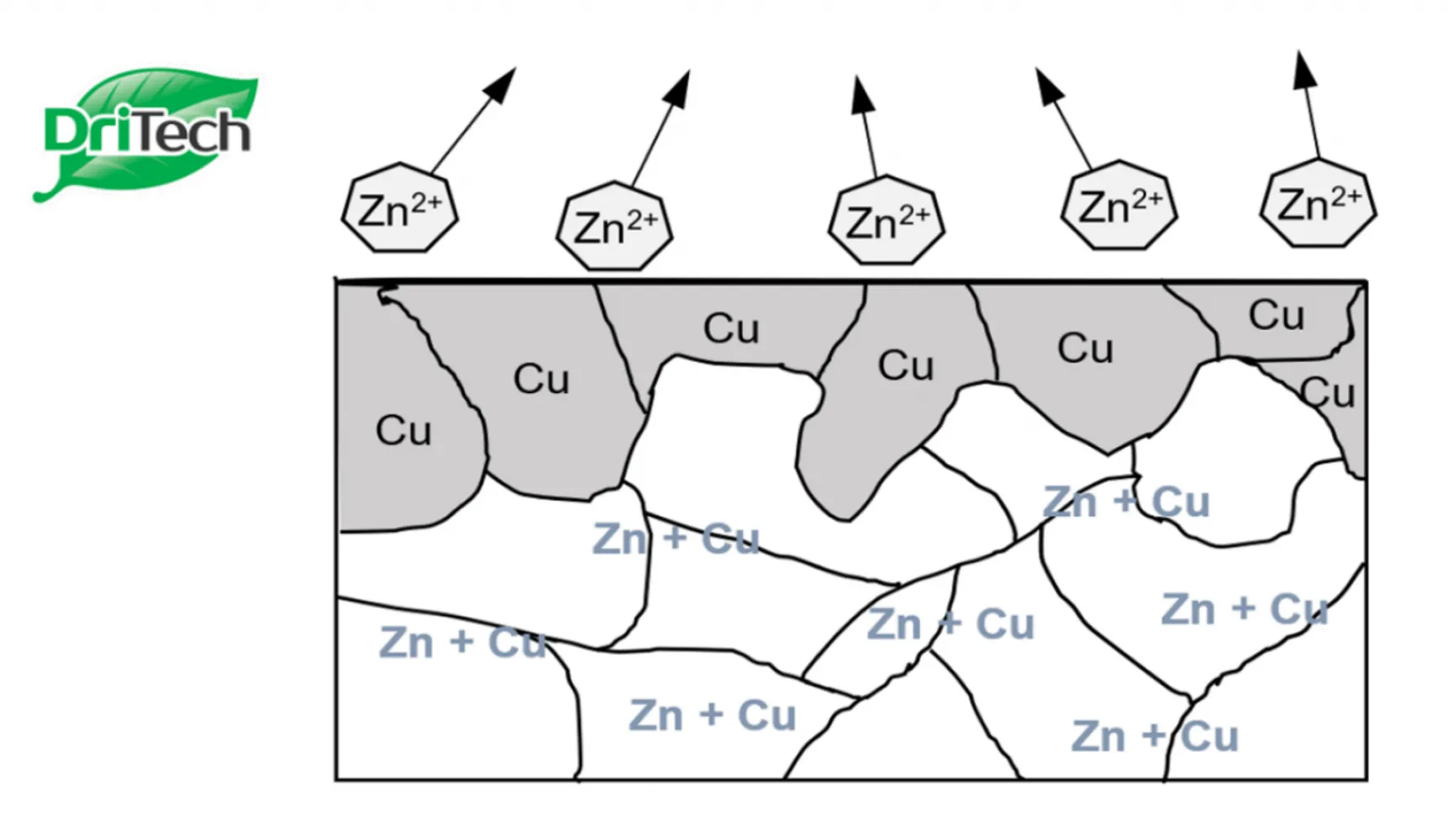 Metal Corrosion: Selective Leaching, Erosion and Stress Corrosion Cracking