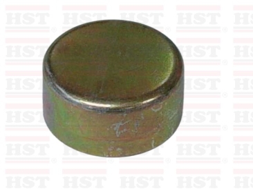 PROTON TIARA GREASE CAP 53 MM (GC-TIARA-80)