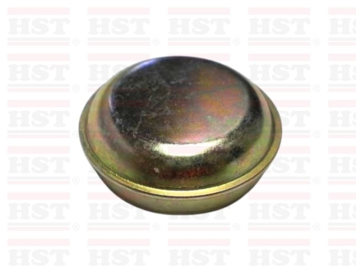 PW828014 46 MM PROTON BLM GREASE CAP (GC-BLM-80)