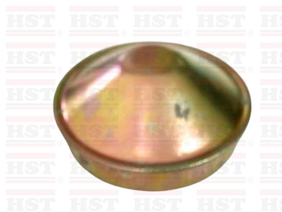 PROTON PERDANA GREASE CAP 65 MM (GC-E55A-80)