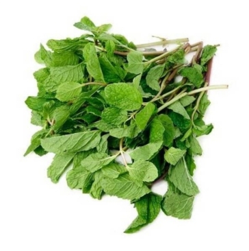 Daun Pudina / Mint Leaf 50g