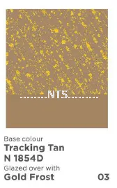 Nippon Momento Gold Frost 03 N 1854D Tracking Tan