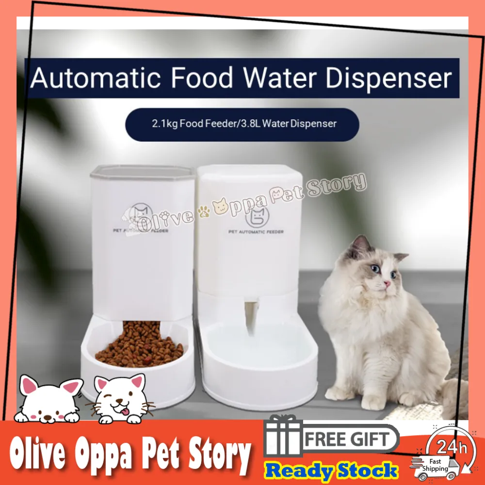 3.8L Large Pet Food Feeder Water Feeder Cats Food Bowl Water Dispenser / Bekas Makan Minum Kucing