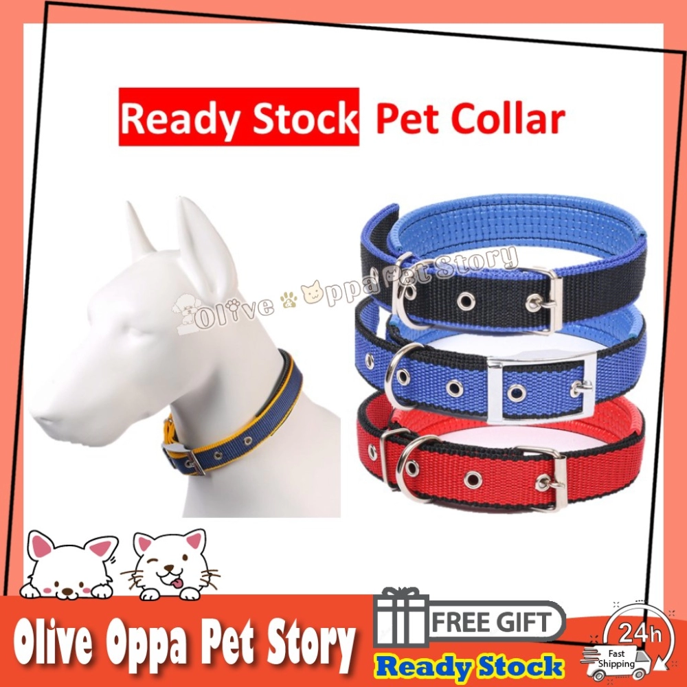 Pet Collar Dog Collars Puppy Comfortable Adjustable Kolar Haiwan Nylon Strap 4 Colors Solid