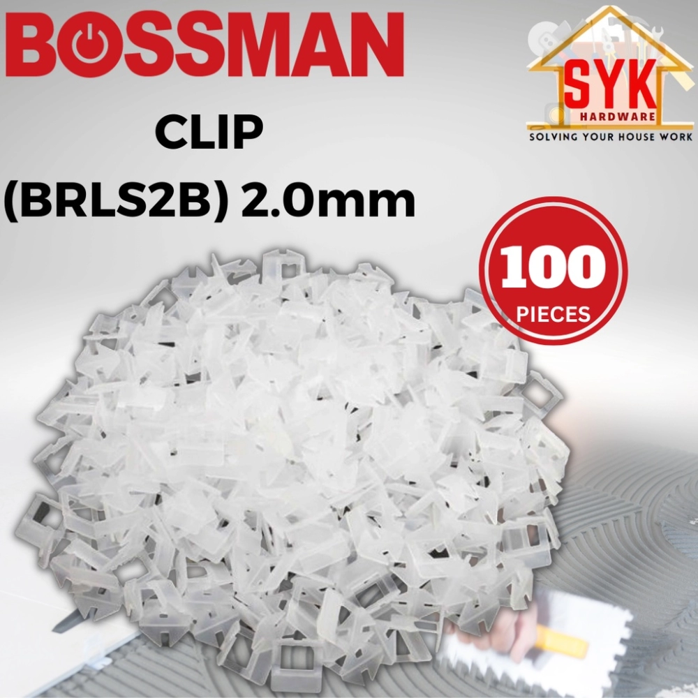 BRLS2B 100pcs Clip