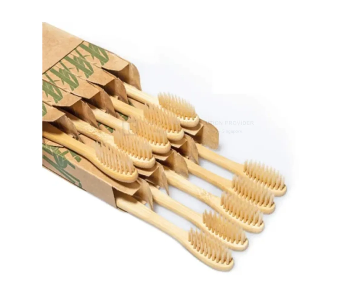 Eco Friendly Teeth Brush  - 06