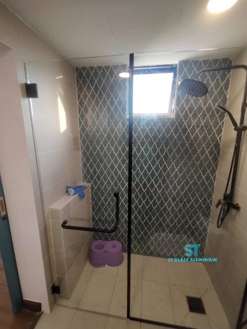 Shower Screen Door
