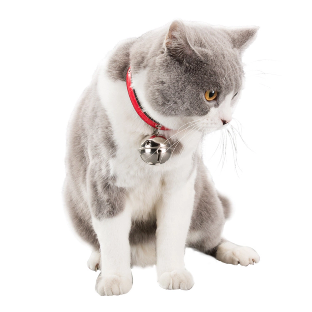 Adjustable Cute Cat Puppy Collar With Bell Kolar Rantai Leher Kucing Berloceng Cantik Murah 宠物猫咪狗狗皮铃铛项圈