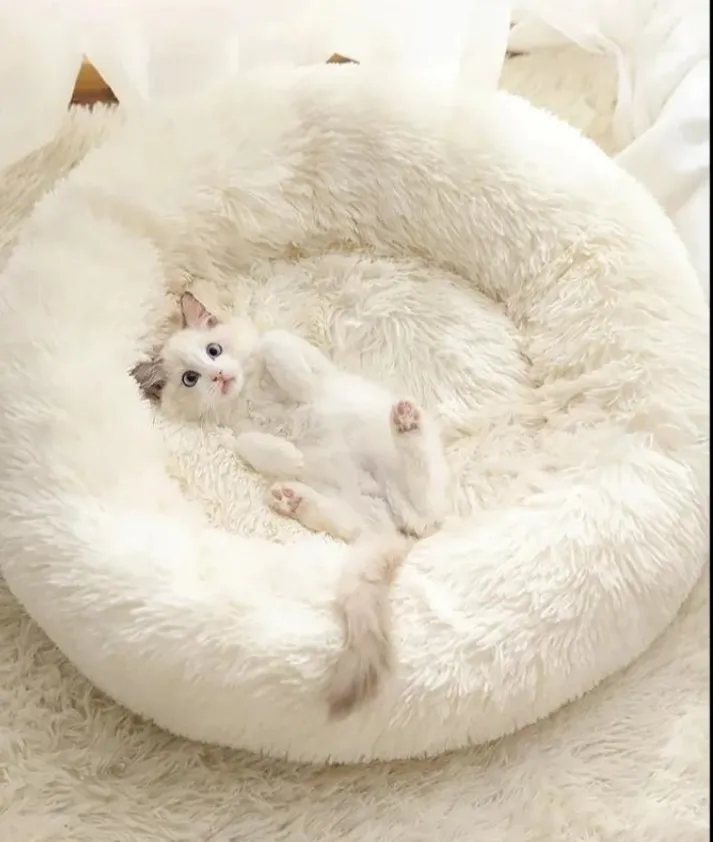 Cat and Dog Bed Pet Bed Luxury Fur Donut Cuddler / Cat house kennel /Cat Cushion Pet Bed 