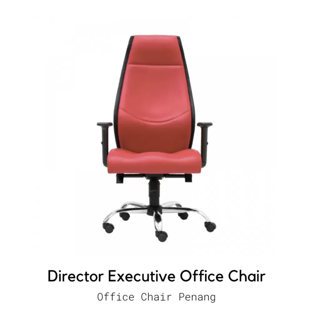 ROON Director Executive Office Chair | Office Chair Penang