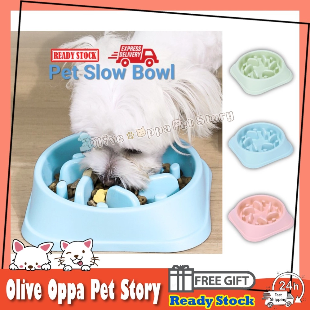 Pet Slow Food Bowl Anti Choking Cat Bowl Dog Food 