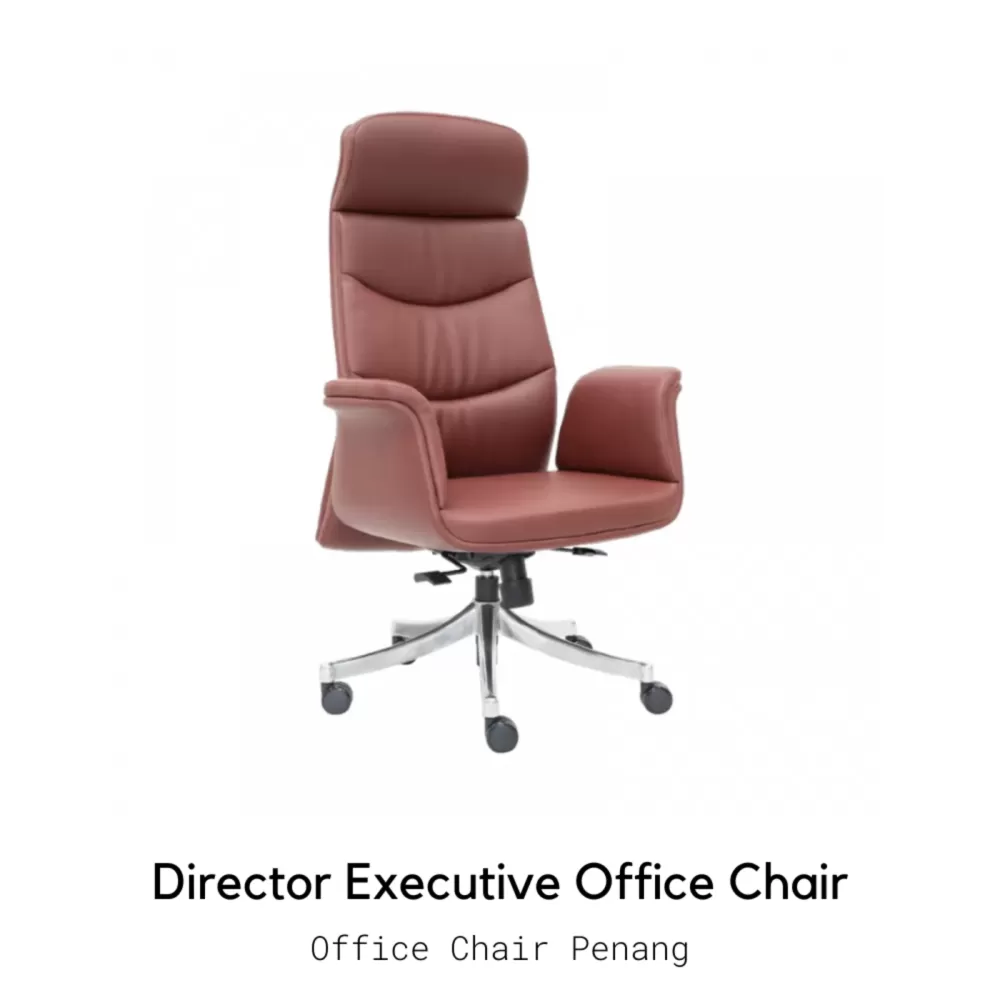 MEET Director Executive Office Chair | Office Chair Penang